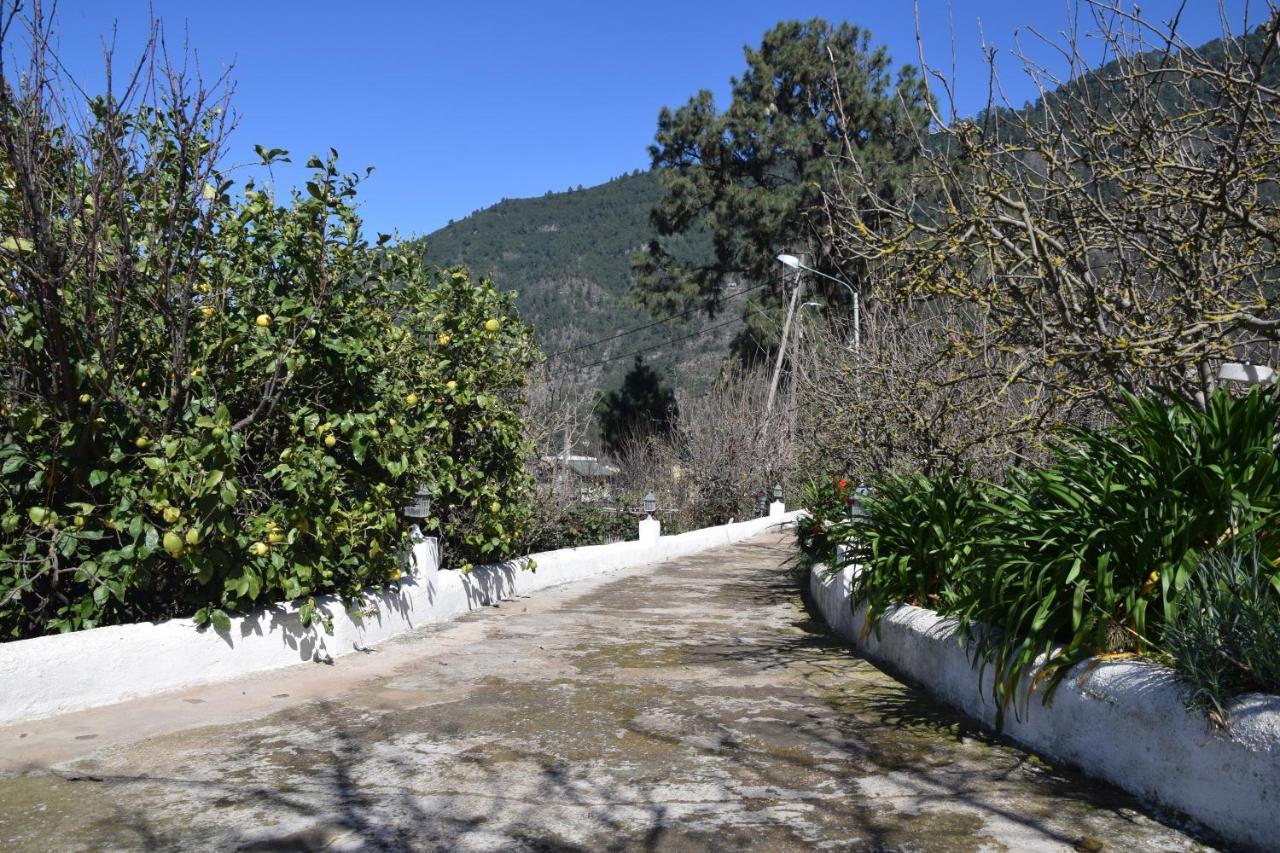 Casa Rural Juli Santa-Cruz de Ténérife Extérieur photo